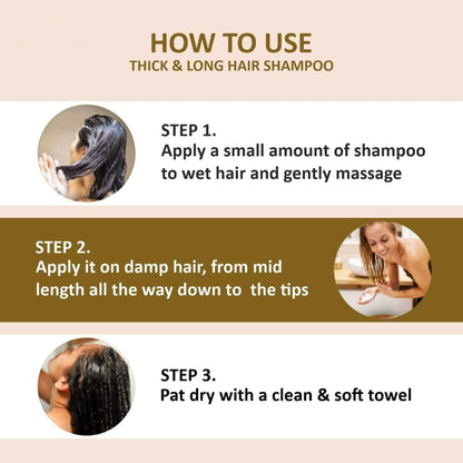 Hair Shampoo with Ginger Extract 100 ml each Pack of 2